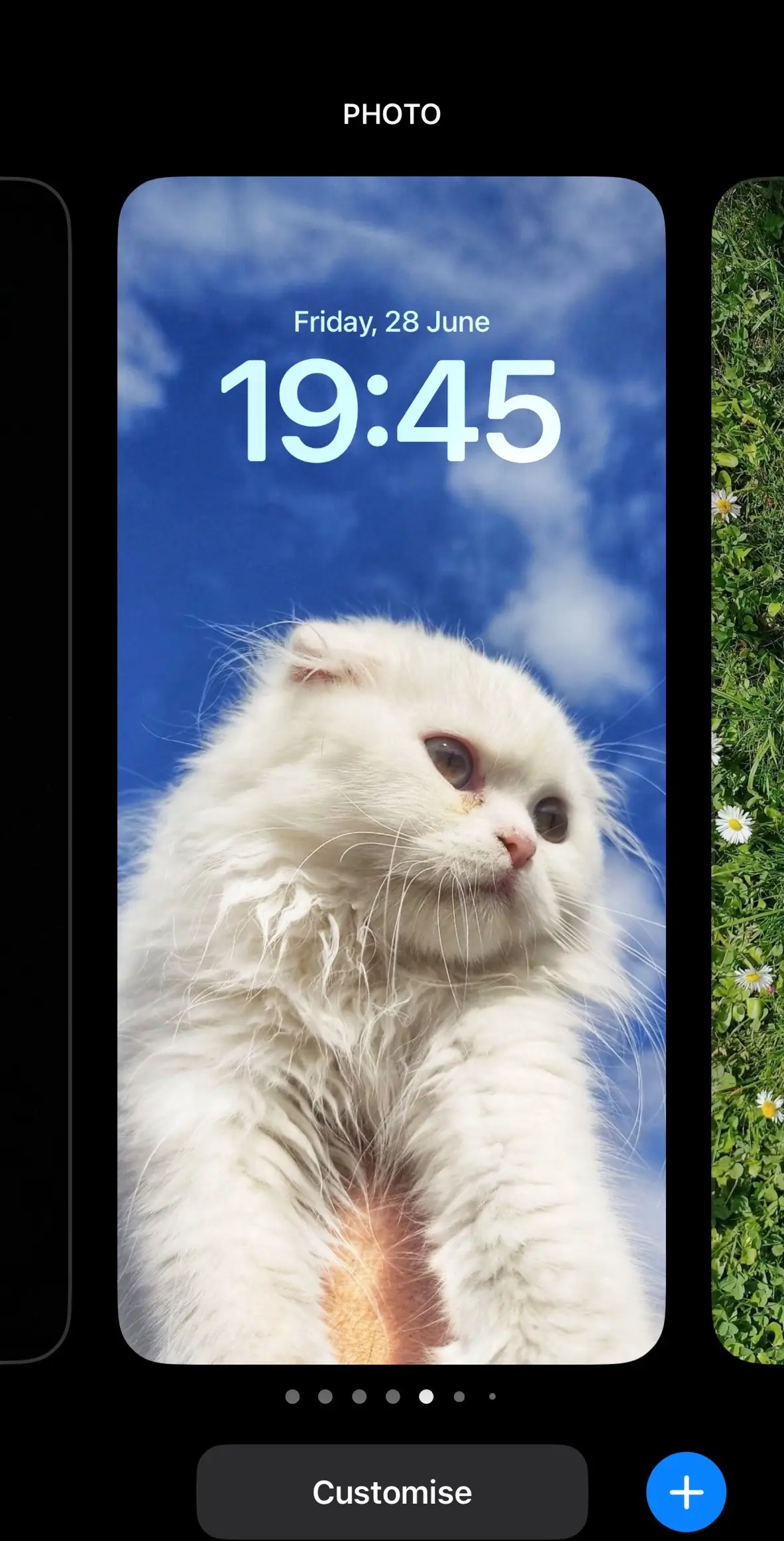 #wallpaper #viral #viralvideo #iphone #fyp #foryou #cat 