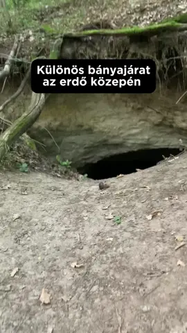 Különös bányajárat az erdő közepén - vajon kik és miért készíthették…? #urbexhungary #félelmetes #alagút #bánya 