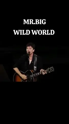 MR.BIG - WILD WORLD #mrbig #wildworld #rock80sy90s 