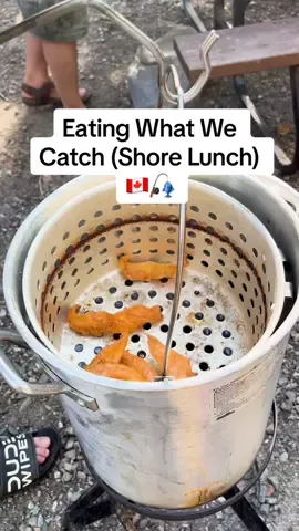 Eating what we catch for a shore lunch (catch and cook) 🎣 We were after one of the most sought after and tastiest fish around. The walleye (also known as pickerel in these parts) It was day 2 of our Northern Ontario camping trip after finding the fish the previous day, we went right back to the same area and started pulling in fish after fish. Keeping a couple each for shore lunch with our group. Vertical jigging a curly tail jig tipped with a worm was the ticket again. #fishing #catchandcook #walleye #fishinglife #fishfry #canadafishing #fish #fishingtips 