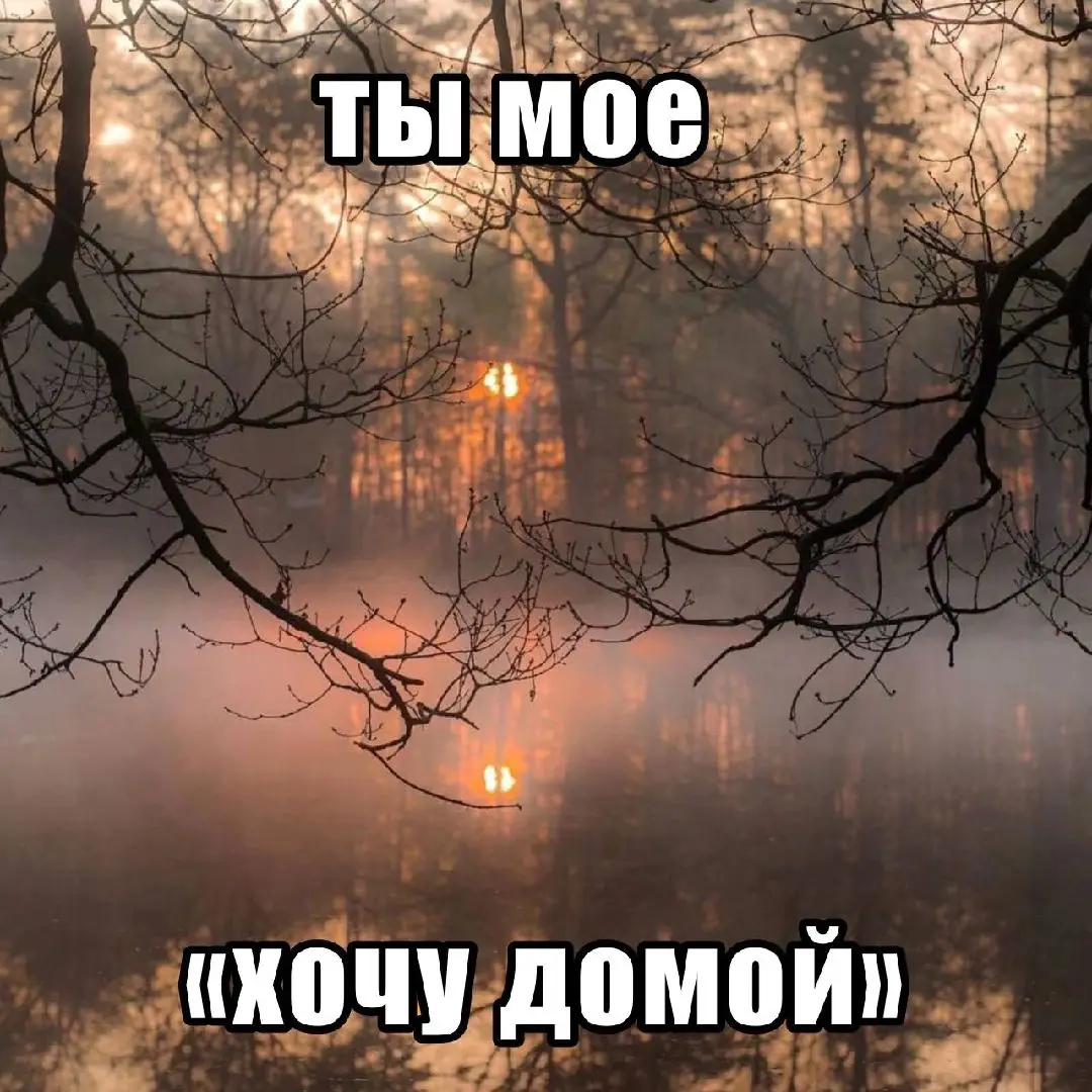 я очень дорожу тобой, кот(