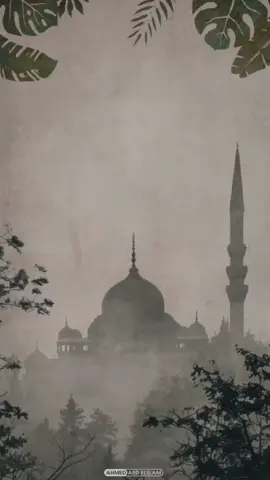 سورة القصص | الشيخ ابو العينين شعيشع ﴿ وَلَمَّا بَلَغَ أَشُدَّهُ وَاسْتَوَىٰ آتَيْنَاهُ حُكْمًا وَعِلْمًا ۚ وَكَذَٰلِكَ نَجْزِي الْمُحْسِنِينَ﴾ [ سورة القصص: 14] #قران #تلاوات_خاشعة #تلاوات_نادره #الله_اكبر #قران_كريم #تلاوات #بسم_الله_الرحمن_الرحيم #سورة_القصص #الشيخ_ابو_العينين_شعيشع @𝐀𝐡𝐦𝐞𝐝𝐀𝐛𝐝𝐞𝐥𝐬𝐥𝐚𝐦 
