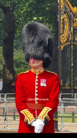 Strict Security, Armed Officers Swiftly Deals with a Careless Negligence “Suspicious Bag”left   Near Buckingham Palace  #fyp #foryou #foryoupage #london #viral #kingsguard #horseguardsparade 