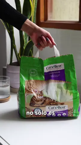 ¡Enamórate de Cat’s Best Smart Pellets! 🟣 #arenaparagatos #gatos #catlovers #fyp 