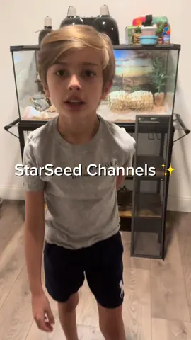 He is adorable 😭💕#psychicfamily #mediumshipreadings #spiritualawakening #starseedawakening #childdevelopment #griefjourney #grief #plieadianstarseed 