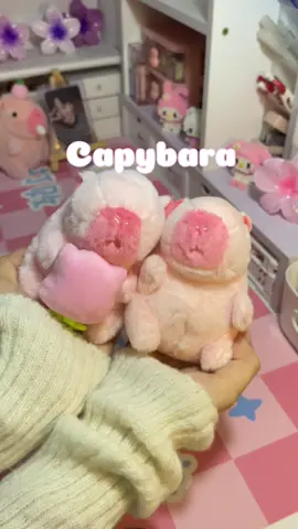 Màu hồng dế thươngg quá 💕 #capybara #mockhoa #unboxing #review #xuhuongtiktok 