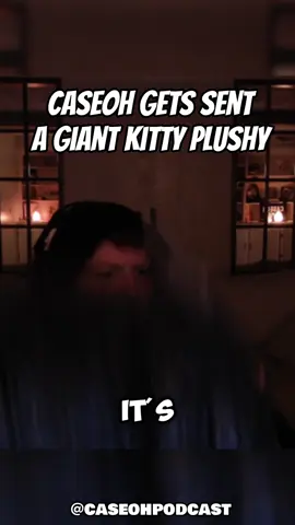 Caseoh gets sent A giant kitty plushy #caseoh #caseohgames #caseohclips #caseohfunnymoments #foryou #viral @Case 