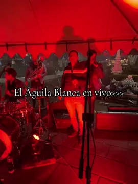 Musica en vivo🔥>>>  #fyp #foryou #parati #paratipage #musica #musicaenvivo #jalisco #atoyac #viral #aguilablanca #fyppppppppppppppppppppppp @Grupo Nivel Supremo Oficial05 