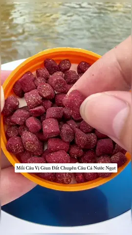 Mồi Câu Cá Vị Giun Đất Siêu Bén Chuyên Câu Rô Chép Diếc #docau #vietdocau #phukiencauca #docauca #cauca #fishing #moicauca #moicauchep #moicautunhien 