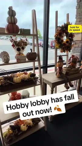 its that time of year where Hobby Lobby takes all of my money 😅 #hobbylobby #autumn #fall #hobbylobbydecor #takemymoney #fallyall @Hobby Lobby 