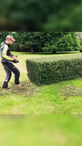 Hedge restoration, Trim overgrown hedges #asmr #satisfying #DIY #hedges #clean #trim #greenworks 