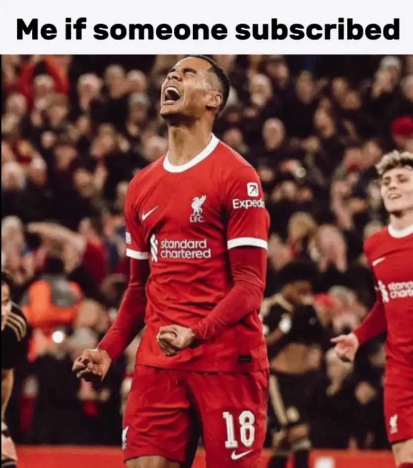 Would honestly make my week🔥🔥🔥#liverpool #gakpo #viral #tiktok 