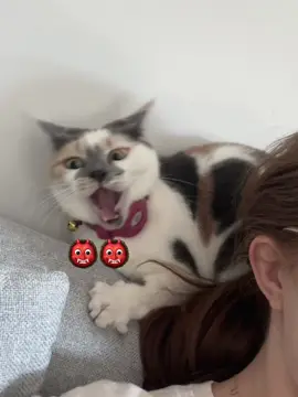 BUT THE DEMON IN ME 👹👹👹🥲🥲🥲🥲