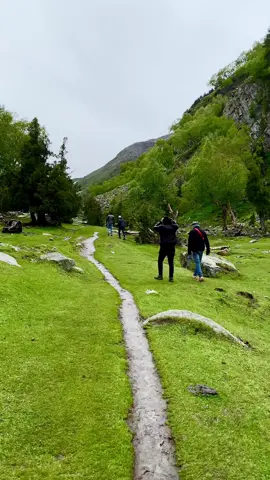 Way to bayal camp fairy meadows ❤️🏔️ . Explore Northern areas of Pakistan 🇵🇰 with Natives  Plan your perfect customized trip to  Skardu || Hunza || Fairy Meadows || Naran || Astore - minimerg ||  with Skardu tourism club           1: Family Tours           2: Honeymoon Tours           3: Corporate Tours           4: Group Tours Make memories with your loved  We are offering affordable packages. Get your quote today. WhatsApp: number mentioned in profile You can also join us our weekly tour . #skardutourismclub #k2adventureclub #viralvideo #foryoupage 