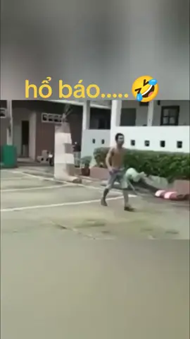 cáo chồn....🤣 #giaitritiktok #xuhuong #haitiktok #cuoibebung #thinhhanh #capcut 
