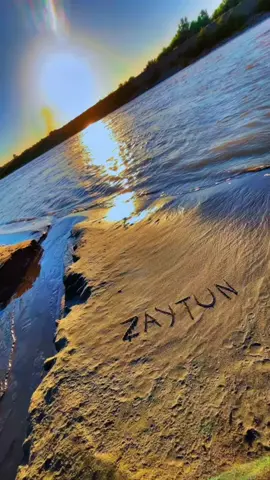 ZAYTUN🖤زەیـتـون #zaytun #زەیتون #imissyou #بیرتدەکەم 
