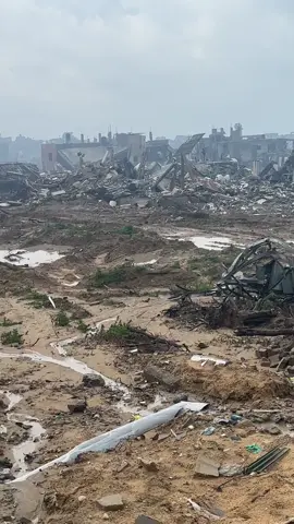 كمية الدمار تبكي الحجر والشجر💔، The amount of destruction is crying stone and trees #north_gaza_hunggry #gaza_ander_attak 