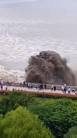 Chinese Qiantangriver show～every year lots of tourists visit here to see the tide.It is famous in the world，but also a celebrity spot. @YunPu  @YunPu  @YunPu @Nature @oceanlife-fishing 