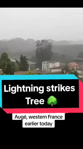 #Incrediblefootage of a #lightning bolt hitting and decimating a large tree in Augé, western #France earlier today #lightningstrikes #lightningstorm