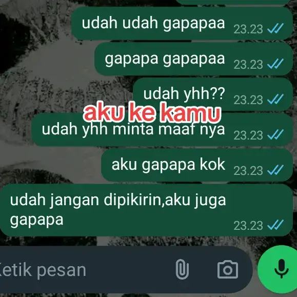 sampai emosi nya penyakit typo pun tiba tiba kumat anjir lah #bismilah ##yxzcba #lewatberanda #gasukaskip📵 #akukekamu #akuketemen #sschet #4u #4you #lb? #fypシ゚viral #fyppppppppppppppppppppppp #fypシ゚viral 