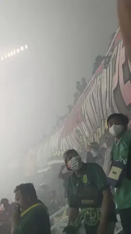 #persebaya1927wani💚💚💚🐊 #bonitagresik #persebayawani🔥 
