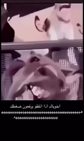 #الشعب_الصيني_ماله_حل😂😂 #الاصدقاء #هشتاق #رياكشن #منشن #اكسبلور #مالي_خلق_احط_هاشتاقات #مشاهير #لايك__explore___ #اكسبلورexplore 