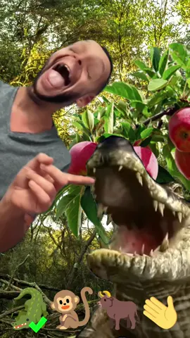 Tom sings all the jungle animal emoji laugh at him #tomsings 