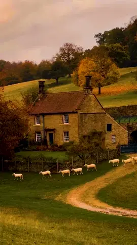 slow peaceful living in the countryside ❤️🐏🌳 #fyp #aesthetic #countryside #cottagecore #countrysidelife #englishcountryside #cozyhome #cottagelife #cottagecoreaesthetic  #countryliving #farm #simplelife #farmlife #slowliving #cozyvibes #cozyhome #serenitycoziness 