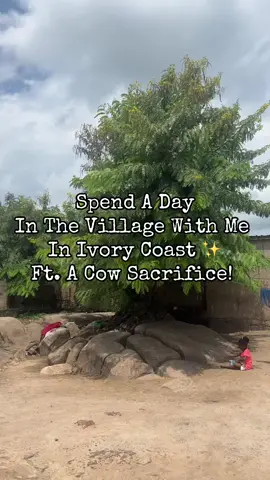 Got to watch a cow sacrifice 😬😳 #nyc #ivorycoast #village #travel #africa 