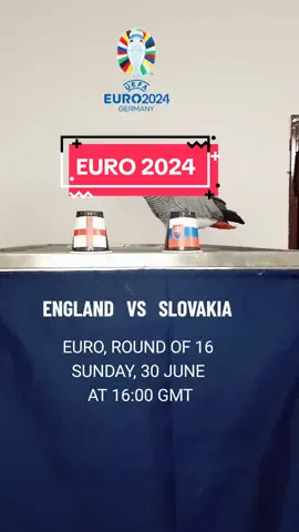 توقعاتي لمباراة انكلترا وسلوفاكيا يورو ٢٠٢٤ my prediction for England vs Slovakia, euro 2024. #england #slovakia #euro  #EURO2024 #englandvsslovakia  #prediction #footballprediction #europrediction #توقعات  #كرة_قدم  #يورو٢٠٢٤  #انجلترا #سلوفاكيا 