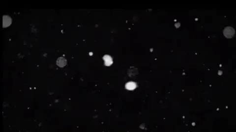 যদি কাউকে মন থেকে ভলোবাসতে না পারেন তাহলে কাউকে স্বপ্ন দেখাবে না আর আপনি যেই কাজটা করছে একদমি ঠিক করেন নাই #foryoupage❤️❤️ #foryou #tik_tok 