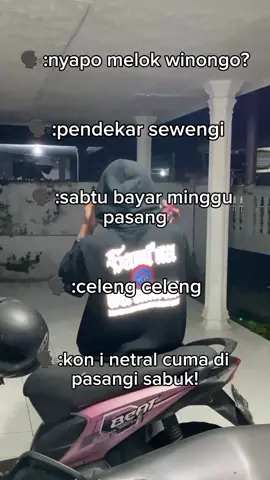 #pshwpusatmadiun #pshw_tm_1903 #shwinongo #foryoupage #foryou #xbcyza #fyp 