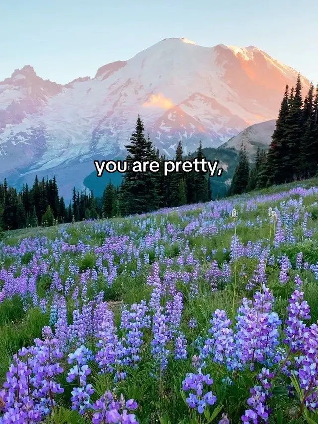 This song >>>>>>>> ❤️ @Lord Huron The Night We Met ❤️❤️ #pretty #nature #flowers #inspo 