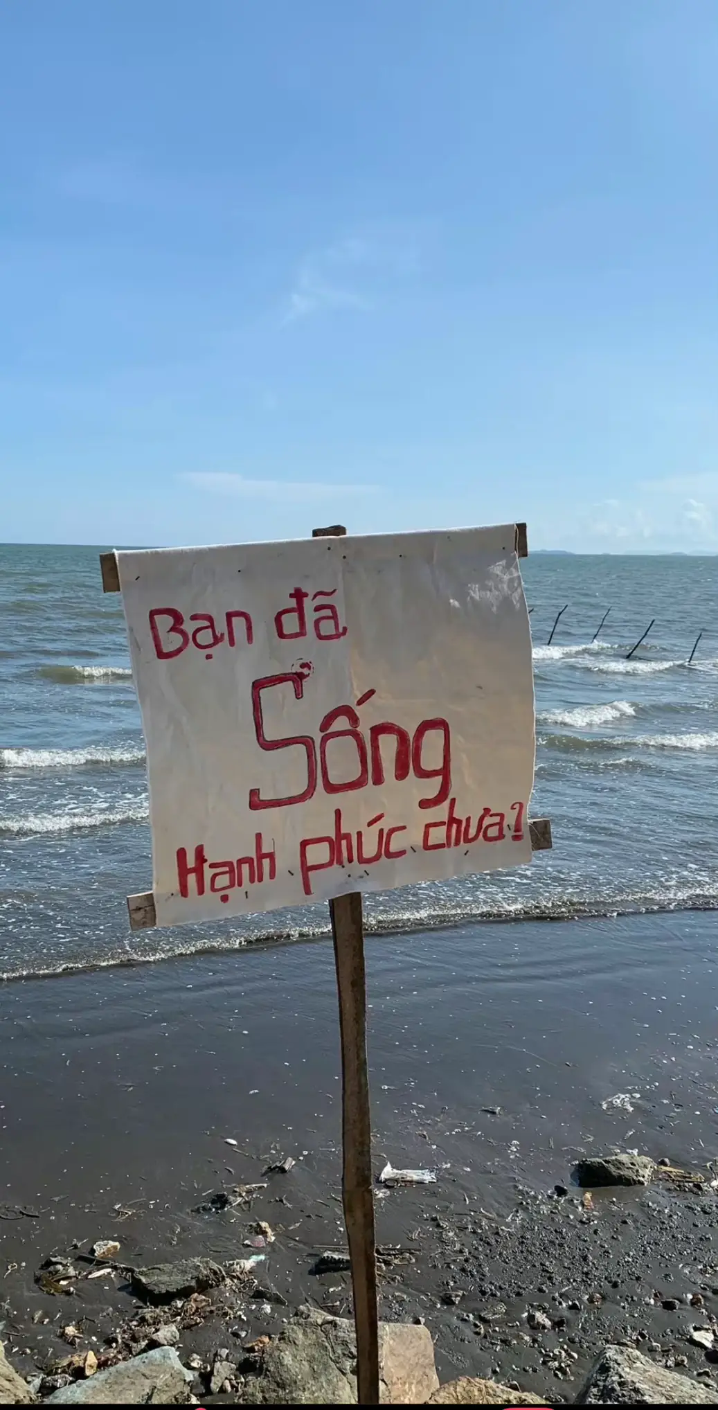 Bạn đã sống hạnh phúc chưa?