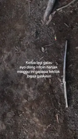 Ketua butuh jadwal, info info dong #pendaki #pendakigunung #pendakiindonesia #pendakicantik #fyp 
