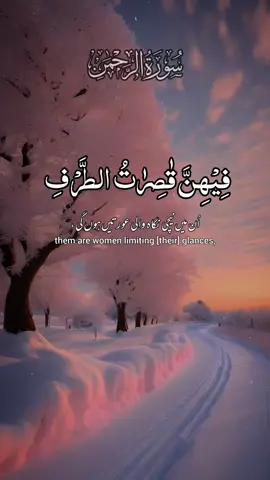 Episode__307@🌹Words_Of_Allah 🌹 ❤️ Tiktok team don’t under review my video #quran #عبدرحمن_مسعد 