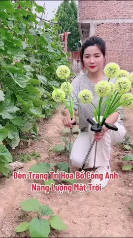 Đèn sân vườn bồ công anh năng lượng mặt trời 1 đầu 3 đầu Ip65 Đèn mô phỏng chống nước cho sân hiên trang trí sân vườn ##denledtrangtri##denledtrangtringoaitroi##lednangluongmattroi##xyzbca##xuhuong