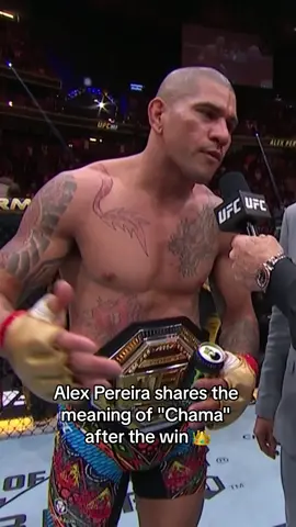 #alexpereira #UFC303 #UFC #chama #mma