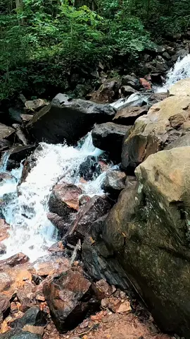 Nature Vibes in Georgia - Lower Amicalola Falls  #waterfall #waterfalls #nature #naturevibes #naturelove #naturelover #naturelovers #calming #positivevibe #peaceful #goodvibes #longwaydown #forest #forestvibes #photography #beauty #fyp #takeawalk #explore #trail #Hiking #hike #Outdoors #trails #lovetrails #positivevibes #natureisbeautiful #meditation #aestheticnature #timepass #lostworld #meditate #trailspinexplorer 