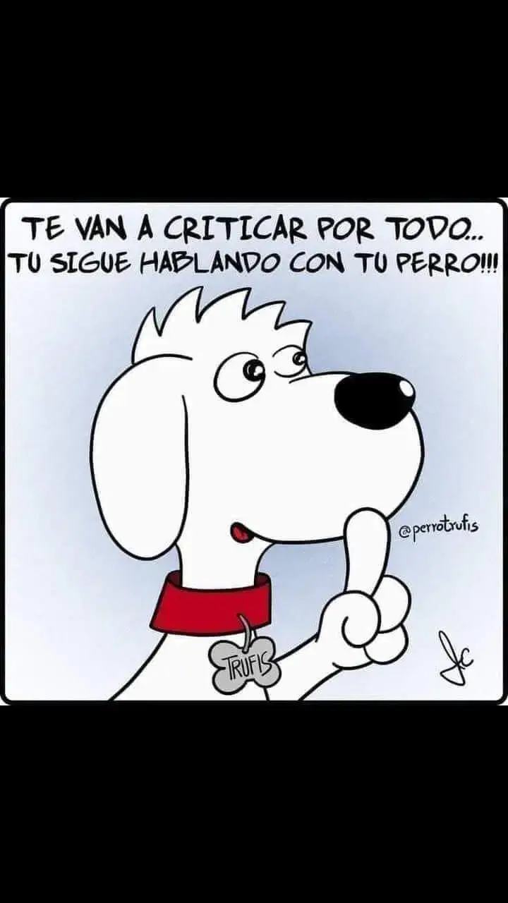 #critica #perro #humor #melasuda 