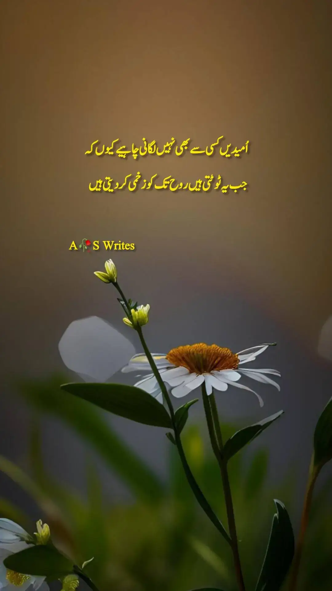 #foryoupage #urdupoetry #urdushayari #statusvideo #foryou #foryoupage 