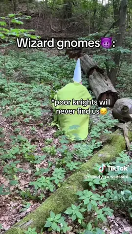 @CRAWLY I will find ye. The forest will not protect you. #wizardgnome #gnomewizard #gnomes #forest #knight #medievaltiktok #knightsvsgnomes 