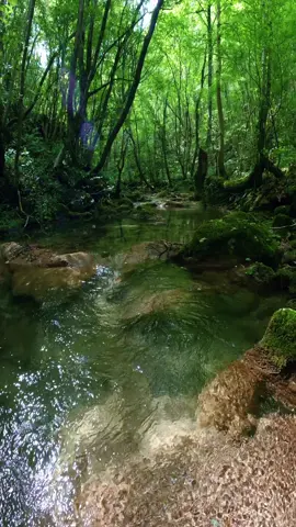 📍Cheile Nerei #5pasidebine #fyp #foryoupage #romania #romaniantiktok #locuridevizitatinromania🇷🇴🇷🇴 #viziteazaromania #nature 