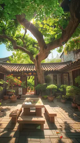 Let's go build a small courtyard like this in the countryside together#FengShuiTreasure #FengShui #Farmyard