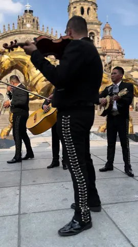 Guadalajara Guadalajara… 🎺🎶🇲🇽 #guadalajara #guadalajaraguadalajara #mariachi #mariachis #mariachistiktok #guadalajarajalisco #jalisco #mexico #musicaregionalmexicana #regionalmexicano🍻🍻 