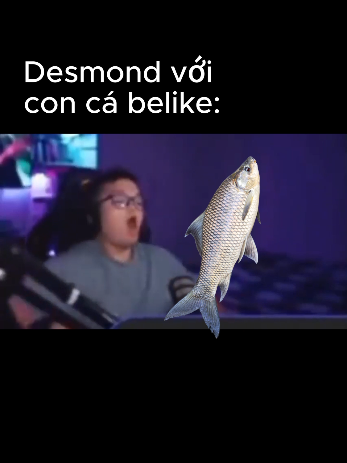 Desmond Vũ lm gì con cá vậy!!!? 🐧#j4f #desmond #ckg #streamer #bantumlum #joke #fyp #viral #capcut #vacation #fish