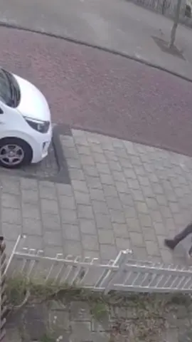 Why did bro need all that toilet paper?!
