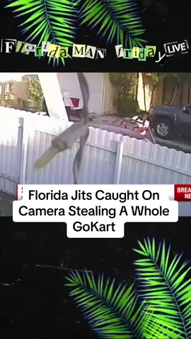 #onlyinflorida #floridajit #caughtoncamera 