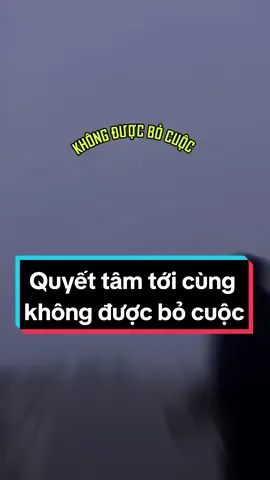 Không được bỏ cuộc  #truyencamhung  #dongluc  #phattrienbanthan  #kyluat  #foryou  #viral  #xuhuong 