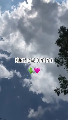 Te quiero asi 🩷 #valentinelizalde #elgallodeoro #cancionesconletra #mexico🇲🇽 #paratiiiiiiiiiiiiiiiiiiiiiiiiiiiiiii #fypシ゚ #viral #🌵 